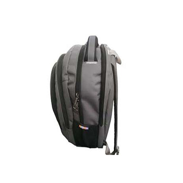 Safari Men Laptop Backpack