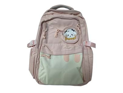 Buy Aesthetic School Bag for Girls Teens Online at Best Price